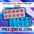 Kamagra Oral Jelly Sildenafil 100Mg new14